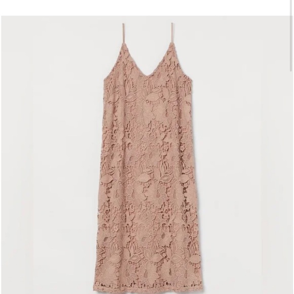 Elegant Lace Slip Dress in Tan H&M small - Picture 1 of 13